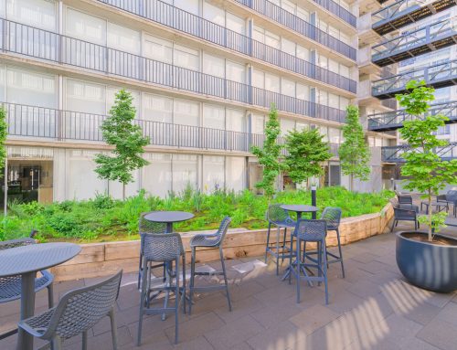 Los Jardines Interiores: Pulmones Verdes en el Corazón de los Edificios